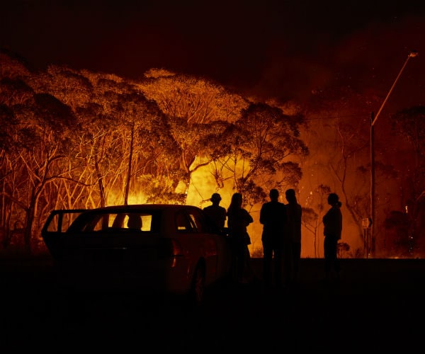 people standing near trees seen glowing from the light of the fire at night