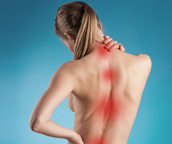 A New Look at Soy to Prevent Osteoporosis