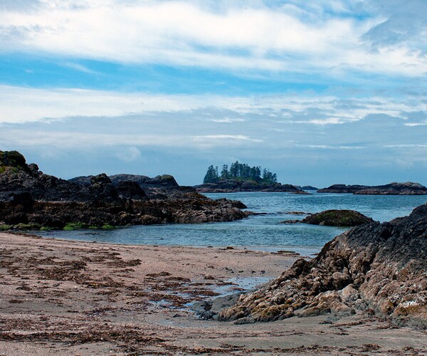 Foot in a Shoe 14th Found Along British Columbia Coast