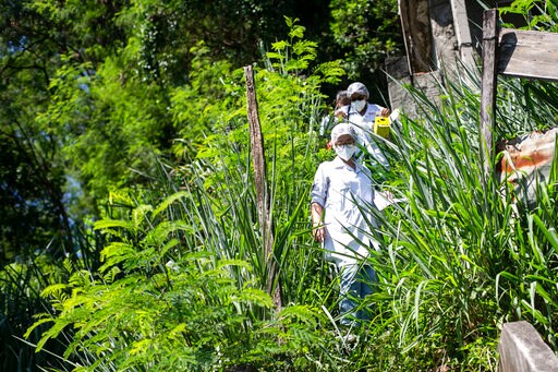 Vaccination of Whole Brazilian City Spares it from Shortages