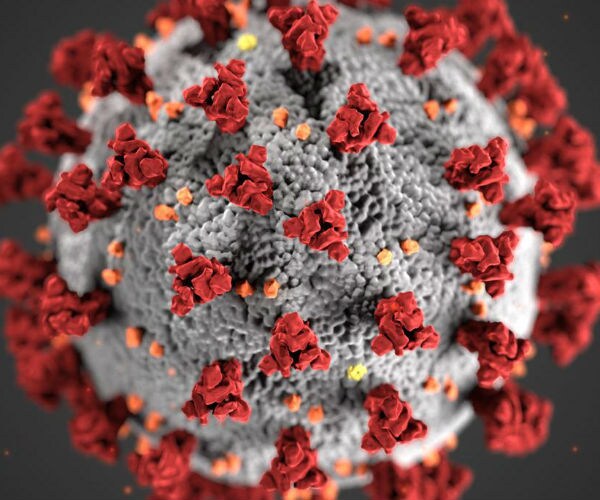 Axios-Ipsos Poll: 1 in 2 Has Personal Connection to Virus