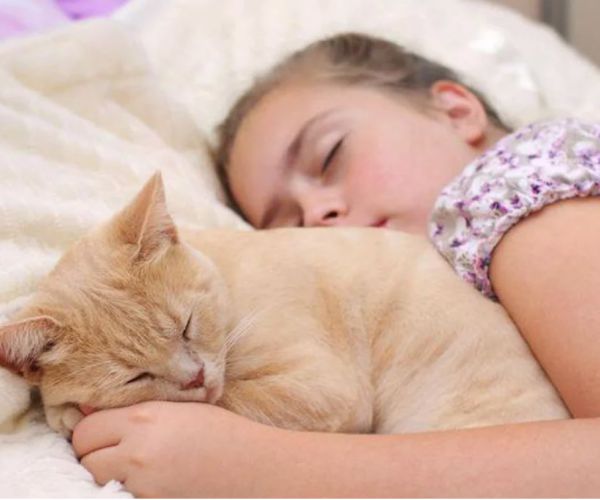 Bedtime With a Pet Won't Harm Your Kid's Sleep - and Might Help