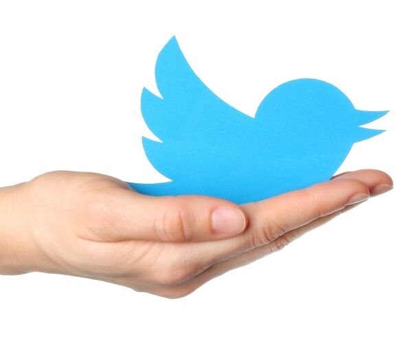 Musk Lawyers Seize on Twitter Whistleblower Revelations 