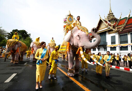 Elephants Kneel in Ritual Tribute to Thailand's New King