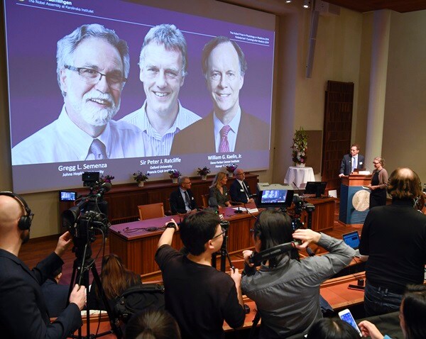 3 Get Nobel Medicine Prize for Learning How Cells Use Oxygen