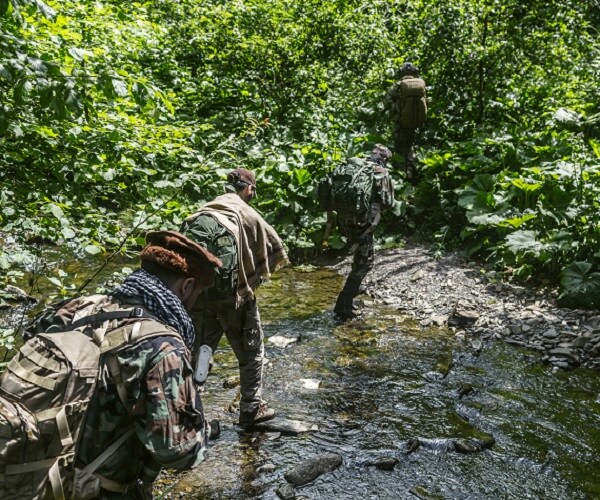 US Kills 50 Taliban Leaders in Series of Strikes