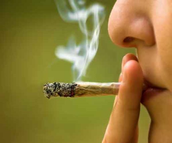 More Americans Getting High: Cannabis Study