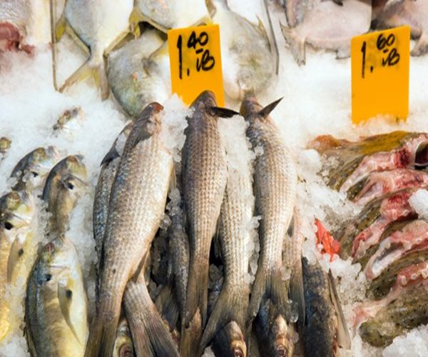 Eating Fish and Diary While Pregnant Could Protect Children from Allergies