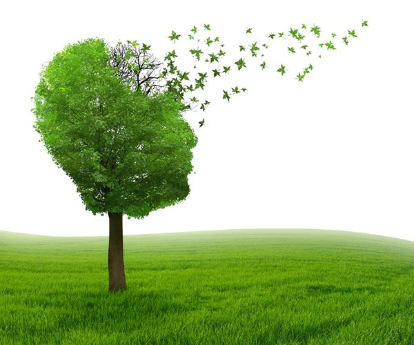 Hormone May Treat Neurodegenerative Conditions