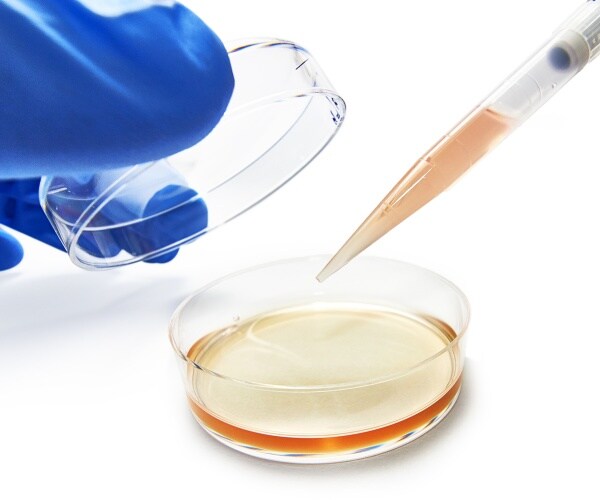 scientist conducting cancer research in lab