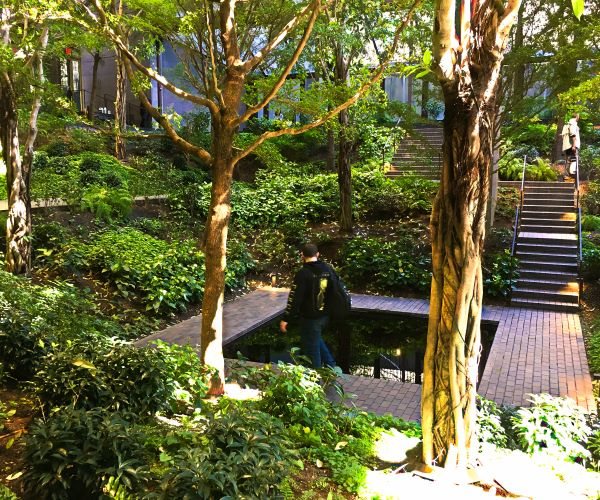 Two Years On, Foundations Stand by 'Pandemic Bonds'