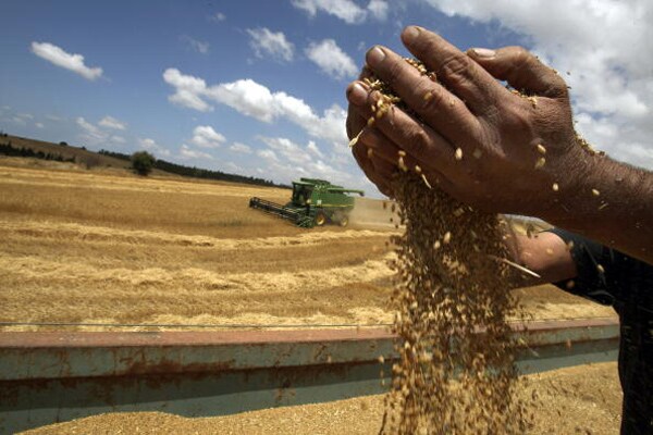 Israel Climate Change Impact: How Scientists Say Global Warming Will Hurt 