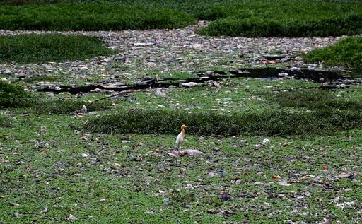 Water Mismanagement Leaves India's Silicon Valley Parched