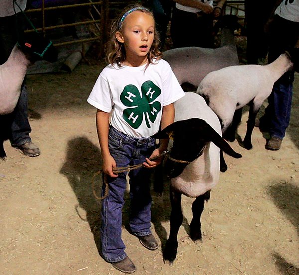4-H, Netflix Team Up on Learning Platform Clover