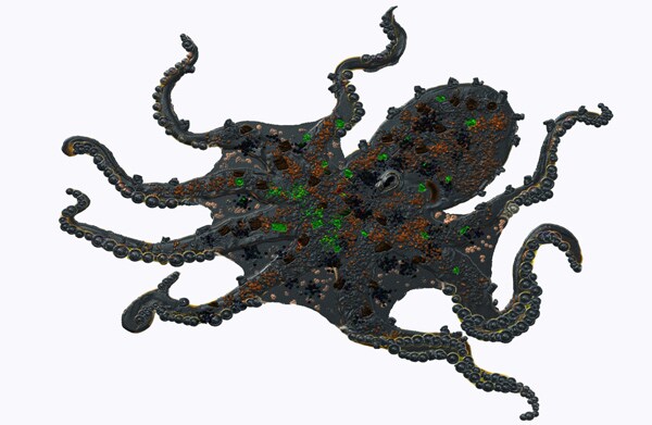 Octopus Inspires Camouflage Fabric That Can Change Colors, Too