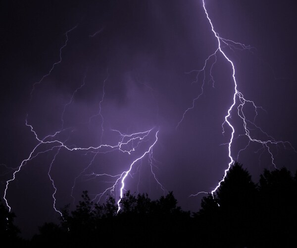 Family Hit by Lightning Camping Under Sequoias