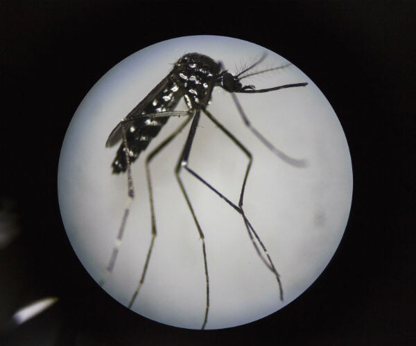 First Zika-Afflicted Baby Born in Florida