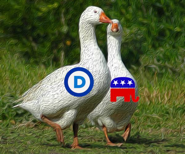 two geese one with a democrat logo and one with a republican logo