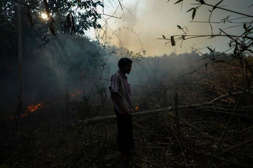 Thailand Has Tried for Years to Solve Its Pollution Problem. But 'haze Season' Always Comes Back