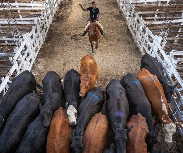EU-South American Mercosur Trade Talks Progress