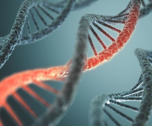 Cancer Study: Bad Luck With DNA Accounts for Two-Thirds of Cases