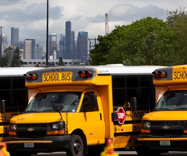 yellow school buses parked in bus yard