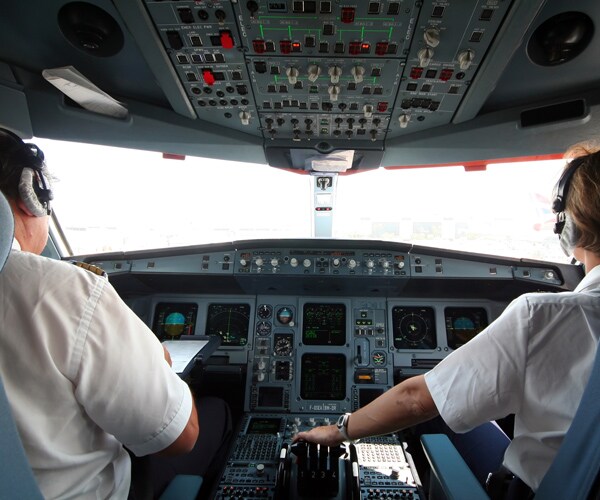 Bird in Cockpit Causes Canceled British Airways Flight