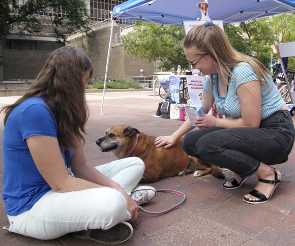 Steyer Effort Spending $30 Million to Energize Young Voters
