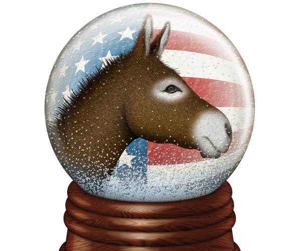 democrat donkey in a snowglobe