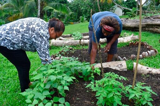 Amid Pandemic, Pacific Islands Work to Offset Food Shortages