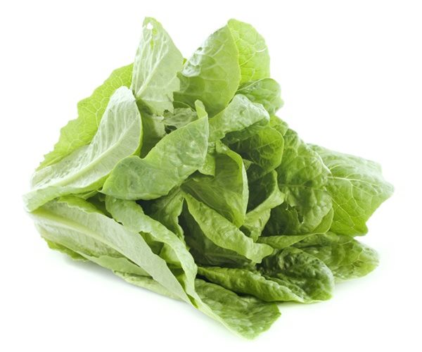 First Death in Romaine Lettuce E. Coli Outbreak