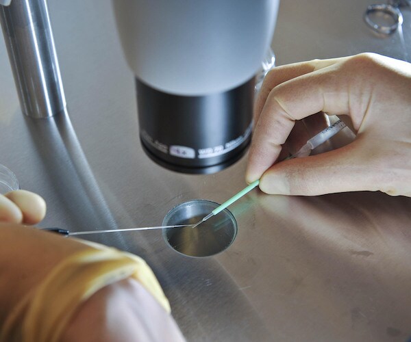 Gene-Editing Human Trials Set to Combat Cervical Cancer