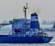 Kyiv: Russia-Seized Grain Boat Won't Unload in Israel