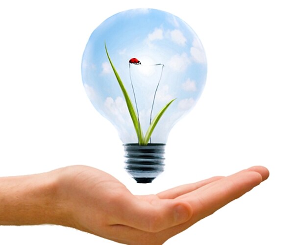 Europe's Lesson Teaches Us: Don't Go Green