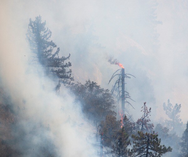 Wildfire Smoke Causes Record Pollution in Oregon, Wafts as Far as Washington, D.C.