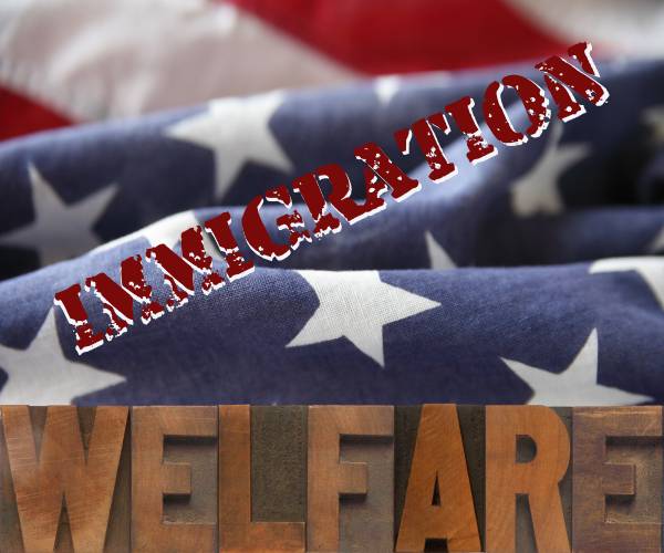 an american flag with welfare written at the bottom and immgration stamped on top