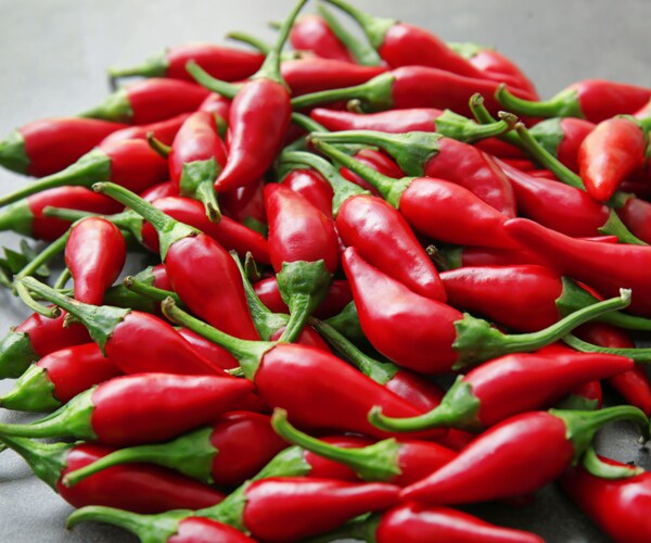 Red chili peppers