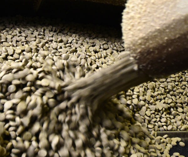 Beware: Your Dog's Food May Be Deadly