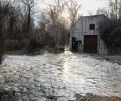 Trump, Md. Gov. Moore Battle Over Potomac Sewage Spill Response