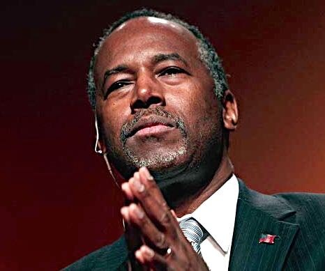 Carson: Mainstream Media Like Ideologically Driven 'Flies'