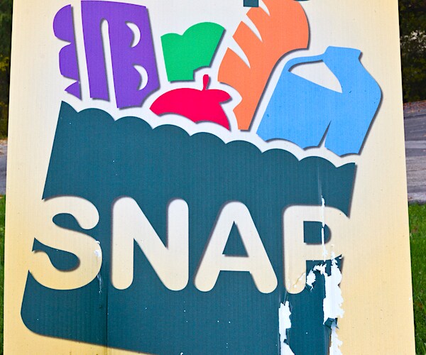 a graphic showing snap on a bag of groceries