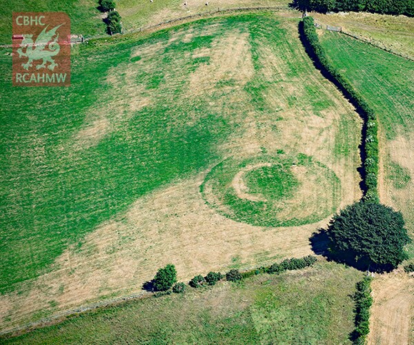 UK Heat Wave Reveals Ancient Civilization Sites in Crop Marks