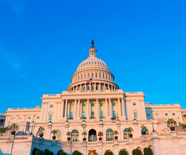 Savage to Decide on Possible Senate Run by March 8