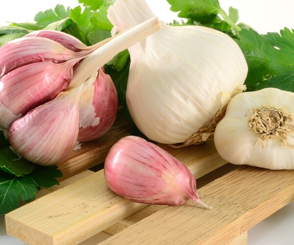 garlic