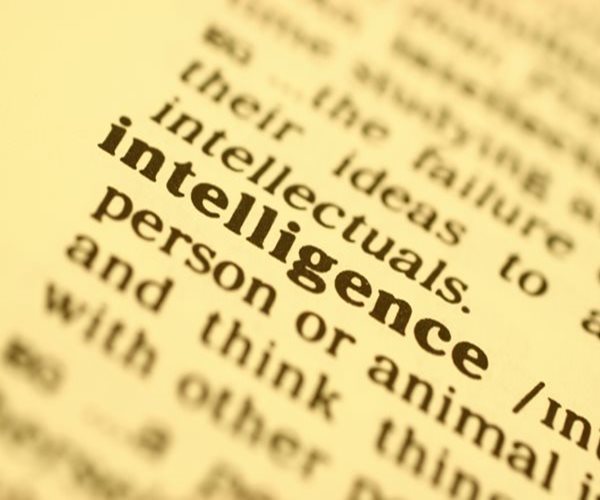 Intelligence and Health Linked to Same Genes