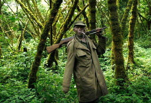 Congo: Virunga Park Says Attack That Killed 6 Deadliest Ever