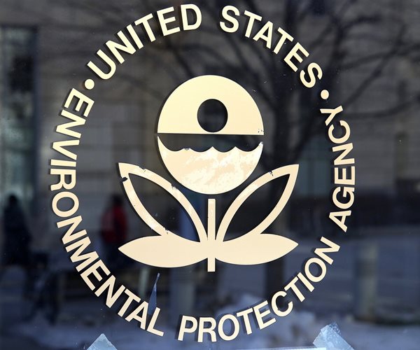 EPA Chief to Reduce Agency-Funded Animal Testing