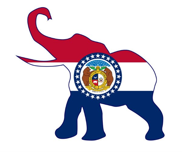 Missouri Republicans Slam House GOP Primary Winner: 'Vile'
