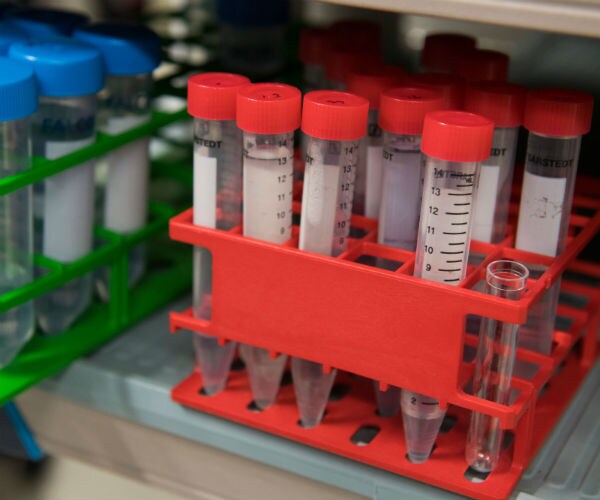 Blood Cancer Survivor Now Fights to Help Others