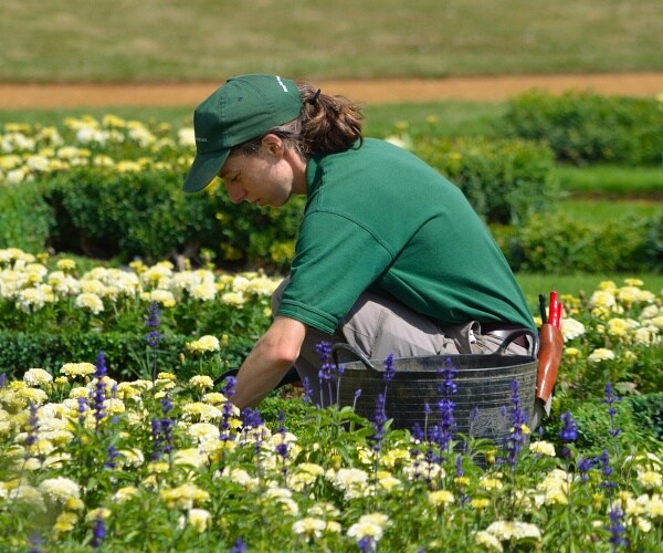 woman gardening